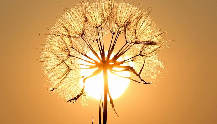 На Україну насувається 37-градусна спека: народний синоптик розповів про погоду на початку тижня