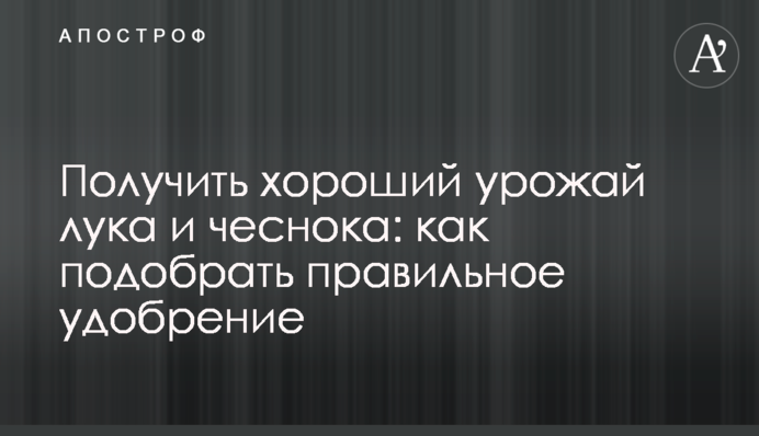 Получить хороший урожай лука и чеснока: как подобрать правильное удобрение