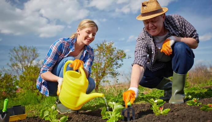 Календарь садовода-огородника на июль 2022:  когда и что надо сажать