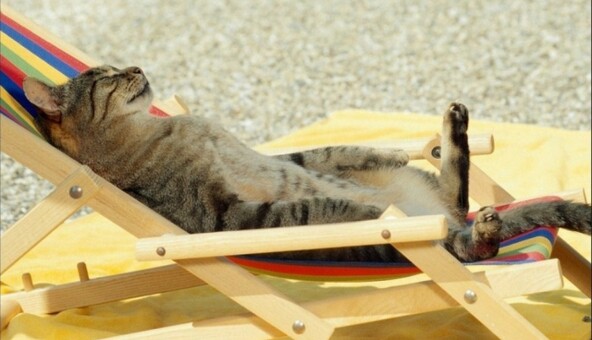 Когда и где в Украине спадет жара: карта погоды и даты