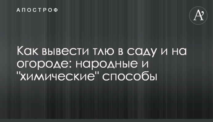 Как вывести тлю в саду и на огороде: народные и 