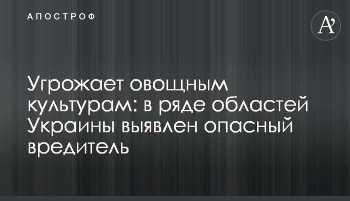 Погрожує овочевим культурам: у низці областей України виявили небезпечного шкідника
