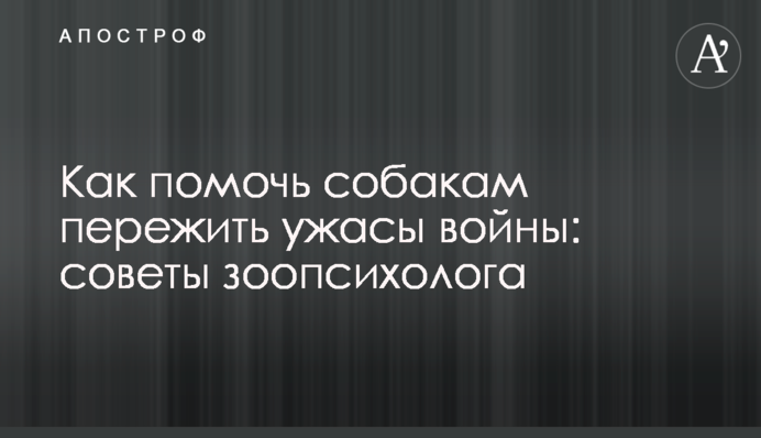 Как помочь собакам пережить ужасы войны: советы зоопсихолога