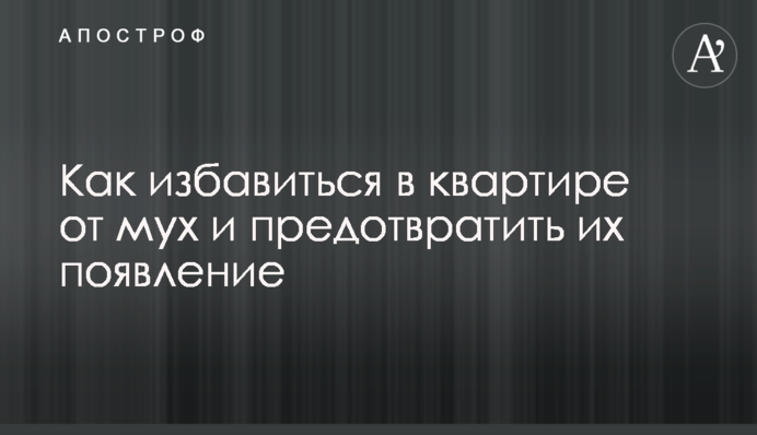 Як позбутися в квартирі від мух і запобігти їх появі
