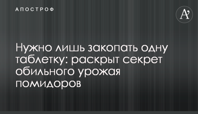 Нужно лишь закопать одну таблетку: раскрыт секрет обильного урожая помидоров