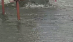 Улицы Одессы превратились в 