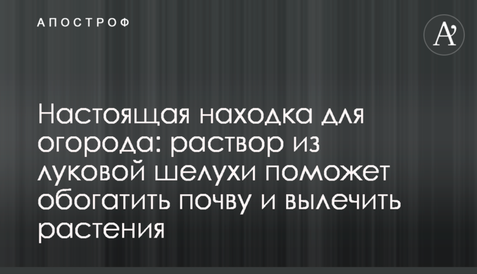 Настоящая находка для огорода: раствор из луковой шелухи поможет обогатить почву и вылечить растения