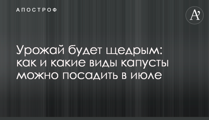 Урожай буде щедрим: як і які види капусти можна посадити у липні