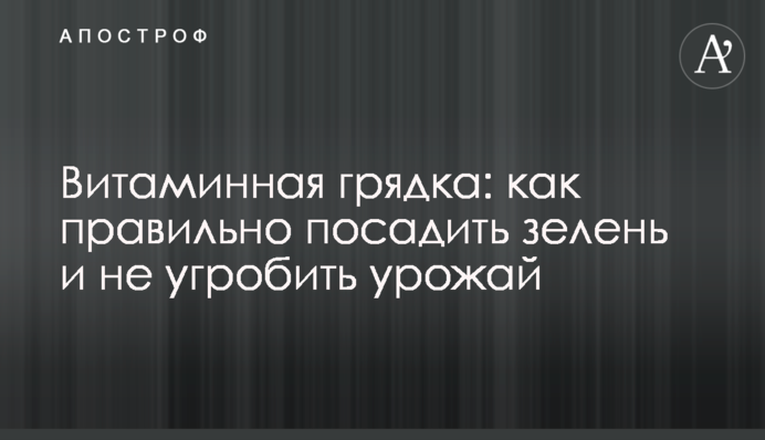 Вітамінна грядка: як правильно посадити зелень та не зіпсувати врожай