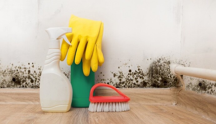 Як позбутися вогкості у квартирі: корисні поради