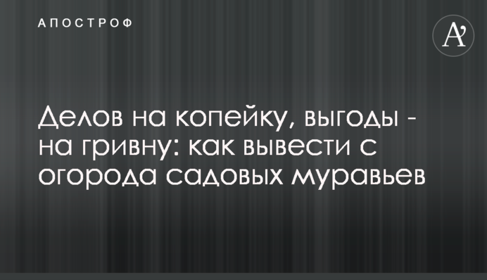 Справ на копійку, вигоди – на гривню: як вивести з городу садових мурах