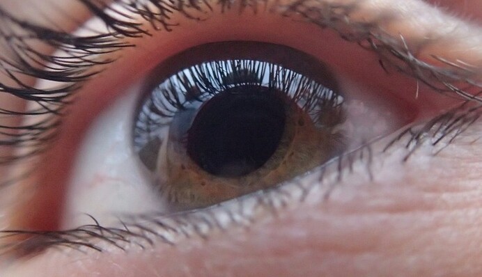 От глаукомы до дальнозоркости: с какими болезнями глаз не возьмут в армию