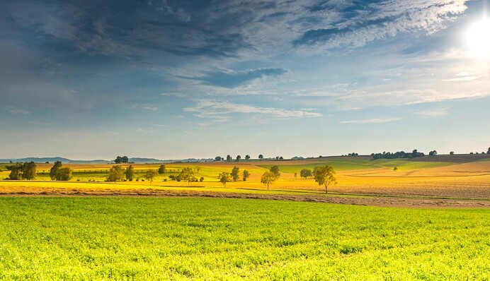 В Україні знову припікатиме: де вдарить найсильніша спека