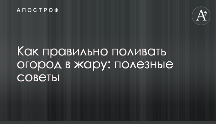 Как правильно поливать огород в жару: полезные советы
