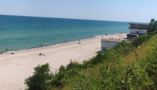 Пустые пляжи и море с медузами: в сети показали 