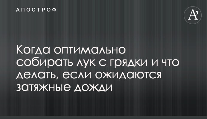 Коли оптимально збирати цибулю з грядки і що робити, якщо очікуються затяжні дощі