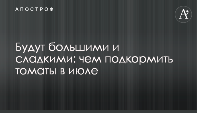 Будут большими и сладкими: чем подкормить томаты в июле