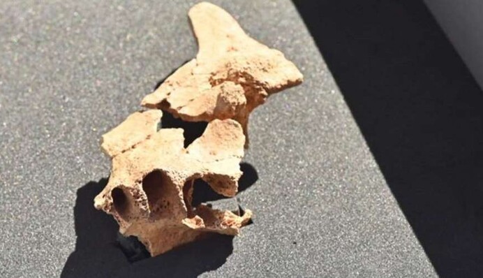 В Испании нашли 