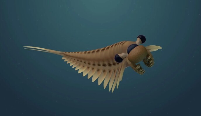 Ученые нашли останки 3-глазого насекомого: может перевернуть представления об эволюции