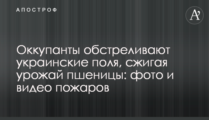 Окупанти обстрілюють українські поля, спалюючи врожай пшениці: фото та відео пожеж