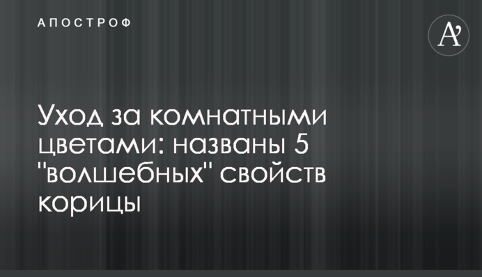 Догляд за кімнатними квітами: названо 5 