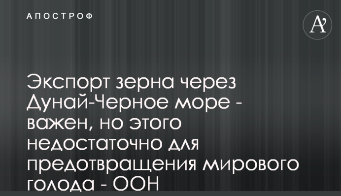 Експорт зерна через канал Дунай-Чорне море - важливий, але цього недостатньо для запобігання світового голоду - ООН