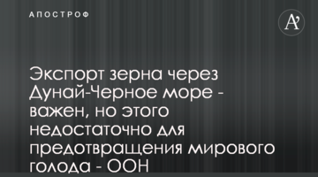 Експорт зерна через канал Дунай-Чорне море - важливий, але цього недостатньо для запобігання світового голоду - ООН