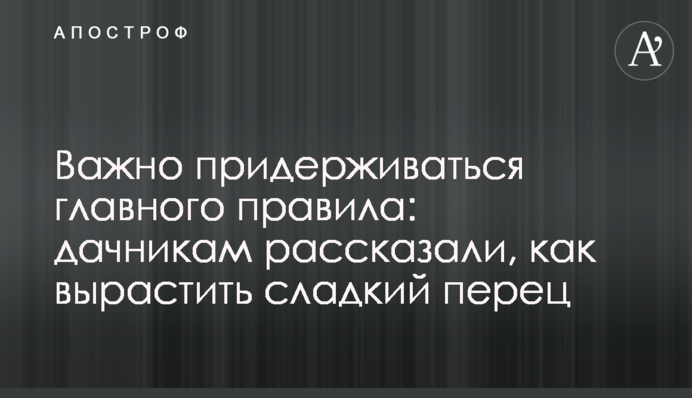 Важно придерживаться главного правила: дачникам рассказали, как вырастить сладкий перец