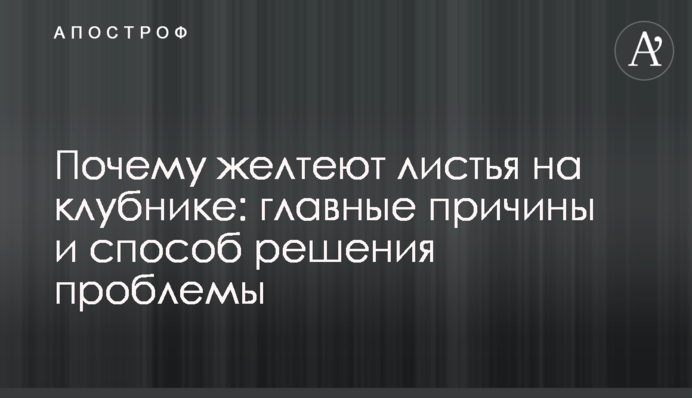 Чому жовтіє листя на полуниці: головні причини та способи вирішення проблеми