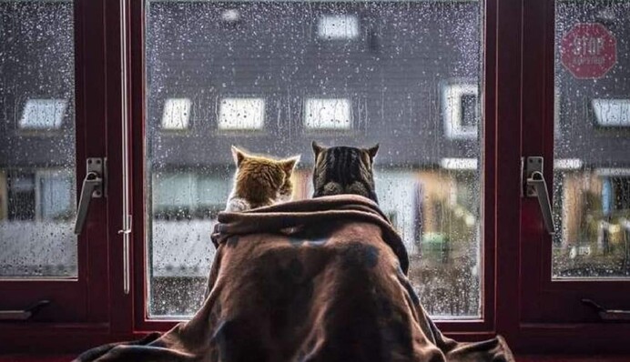 Похолодання, штормовий вітер та магнітна буря: що несе погода в Україну 13 липня