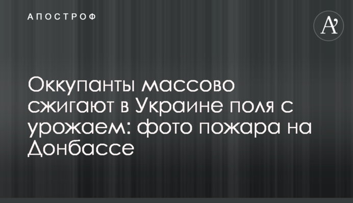 Окупанти масово спалюють в Україні поля з урожаєм: фото пожежі на Донбасі