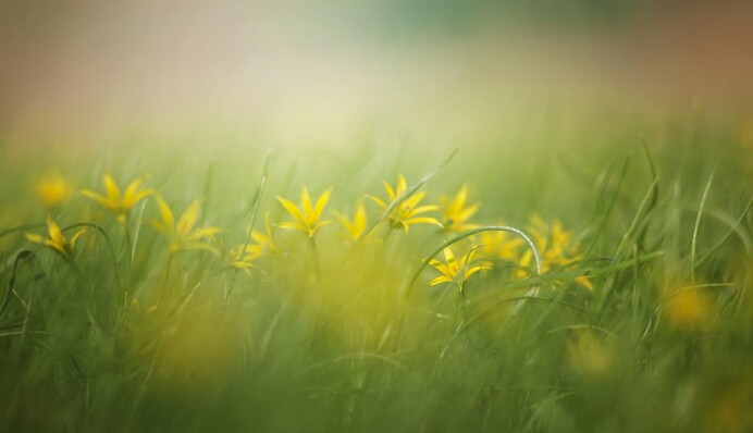 Летнее тепло возвращается в Украину, но не без исключений: прогноз погоды на 14 июля