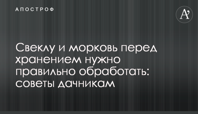 Буряк та моркву перед зберіганням потрібно правильно обробити: поради дачникам
