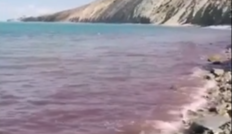 Природа напомнила россиянам об их кровавых преступлениях в Украине: видео