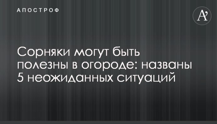Бур'яни можуть бути корисні на городі: названо 5 несподіваних ситуацій