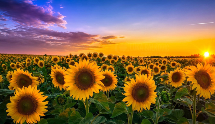 Погода готує "сюрприз" для українців у серпні: чого варто очікувати від останнього місяця літа