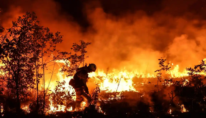 Через спеку Європу охопили смертельні лісові пожежі: відео та карта 