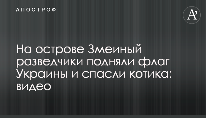На острові Зміїний розвідники підняли прапор України та врятували котика: відео