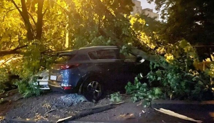 На Днепр обрушился мощный ливень - в городе начался "деревопад": фото и видео