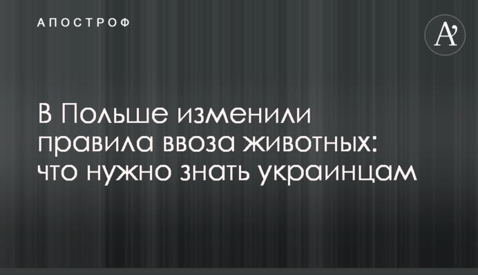 У Польщі змінили правила ввезення тварин: що потрібно знати українцям