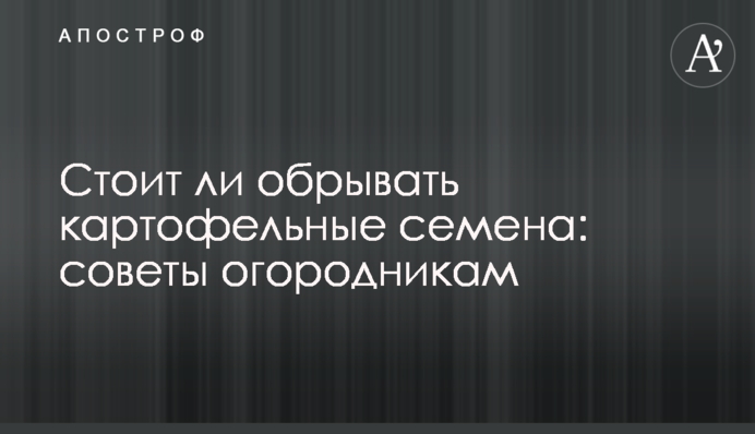 Стоит ли обрывать картофельные семена: советы огородникам