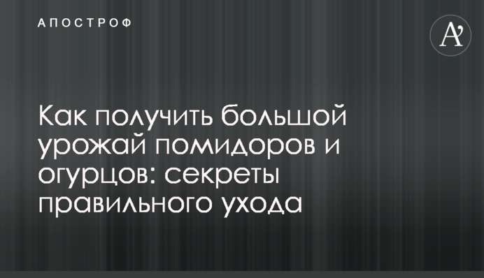 Як отримати великий урожай помідорів та огірків: секрети правильного догляду