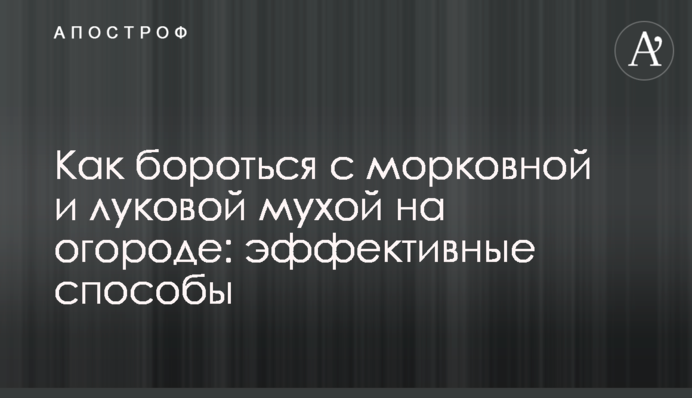 Як боротися з морквяною та цибулевою мухою на городі: ефективні способи