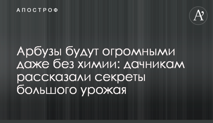 Арбузы будут огромными даже без химии: дачникам рассказали секреты большого урожая