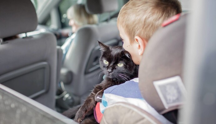 Из страны выпустят не всех: как многодетным отцам покинуть Украину во время войны