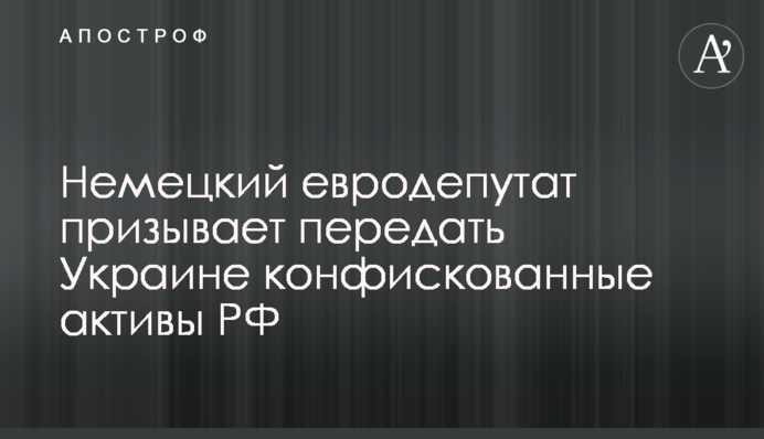 Німецький євродепутат закликає передати Україні конфісковані активи РФ