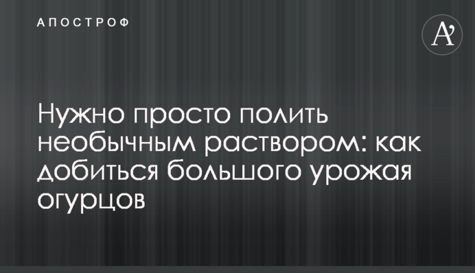Потрібно просто полити незвичайним розчином: як досягти великого врожаю огірків
