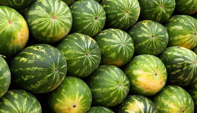 Пора есть арбузы: как выбрать вкусную и сочную ягоду