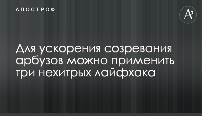 Для ускорения созревания арбузов можно применить три нехитрых лайфхака