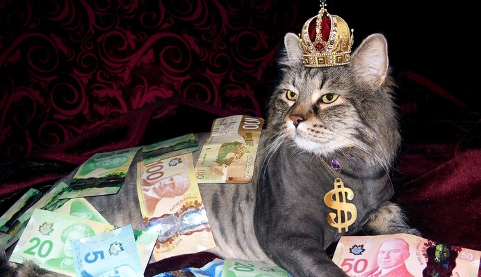 С деньгами в августе повезет трем знакам Зодиака: кто эти счастливчики